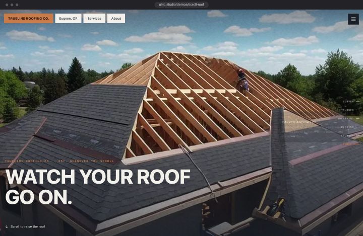 The roof scrub screenshot