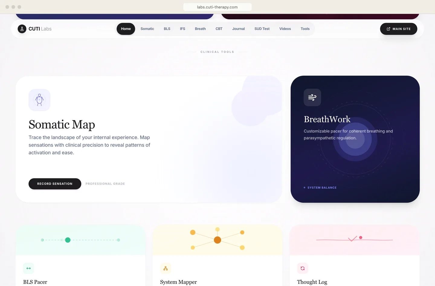 Custom Mental Health Web Apps