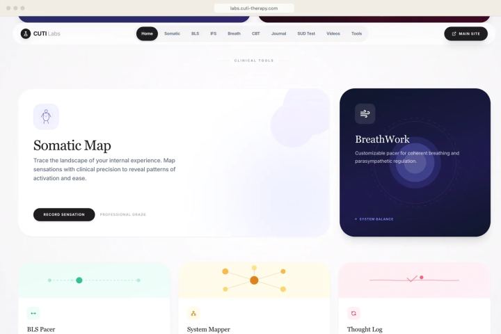 Custom Mental Health Web Apps