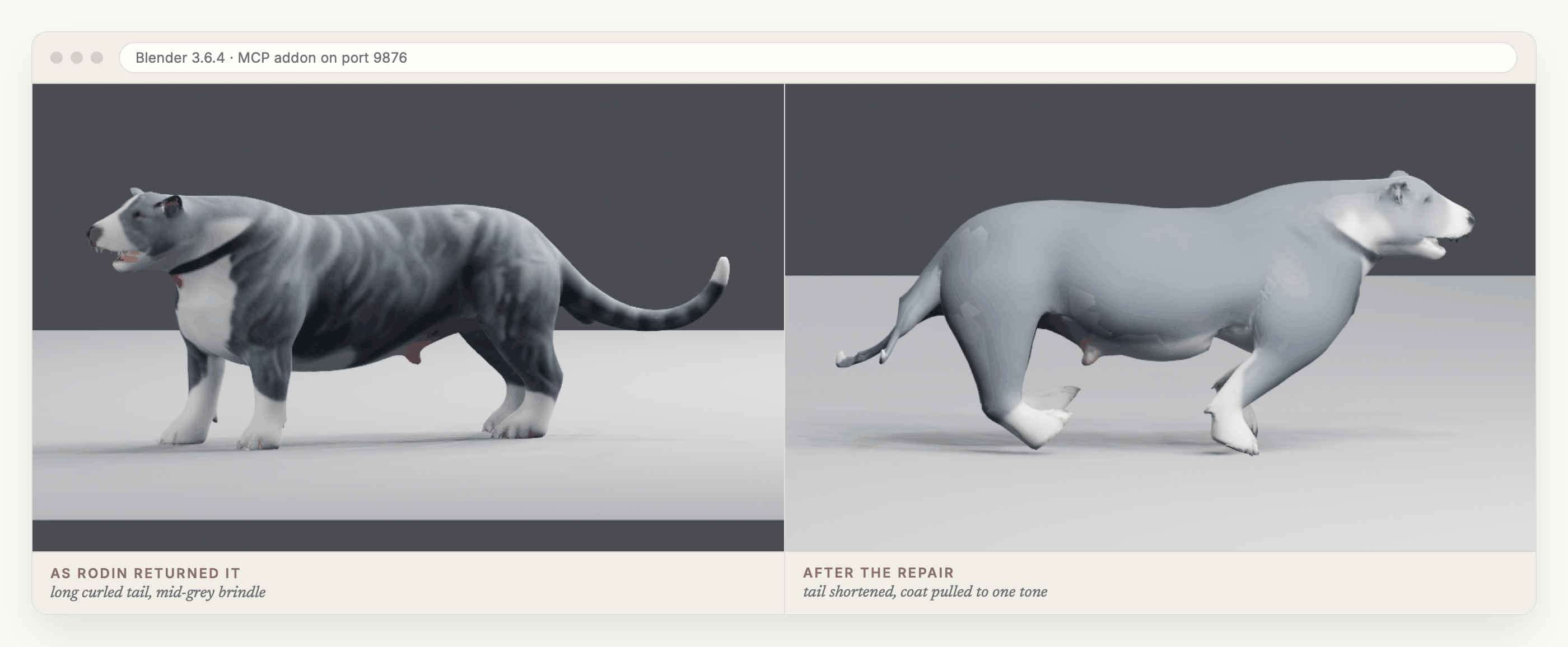 Two Blender viewport renders side by side. On the left, the mesh as Rodin delivered it: a grey brindle pit bull standing on all fours with a long curled tail. On the right, the same dog after the repair, mid stride from the run clip, with a short low tail and a flat slate coat, white chest, legs and muzzle.