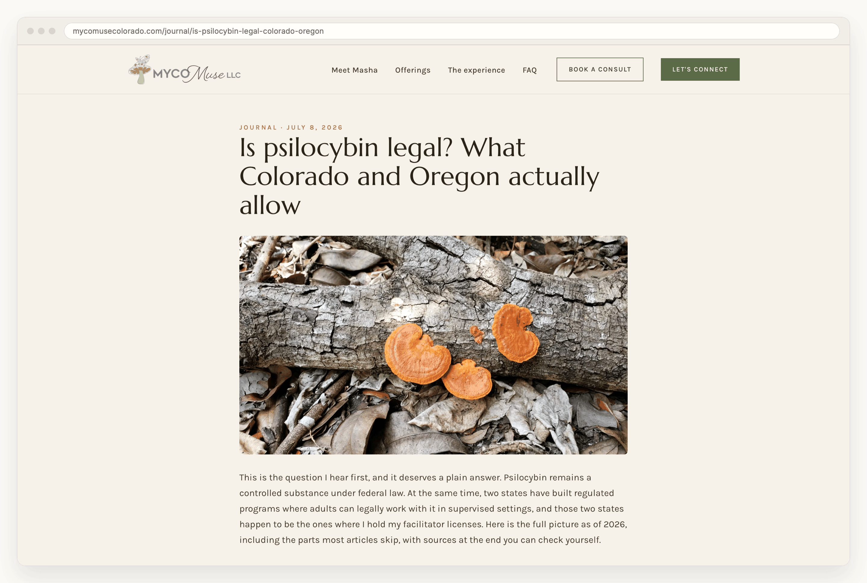 A journal article page headed Is psilocybin legal? What Colorado and Oregon actually allow, with a photograph of orange bracket fungus on a fallen log and an opening paragraph promising sources at the end.